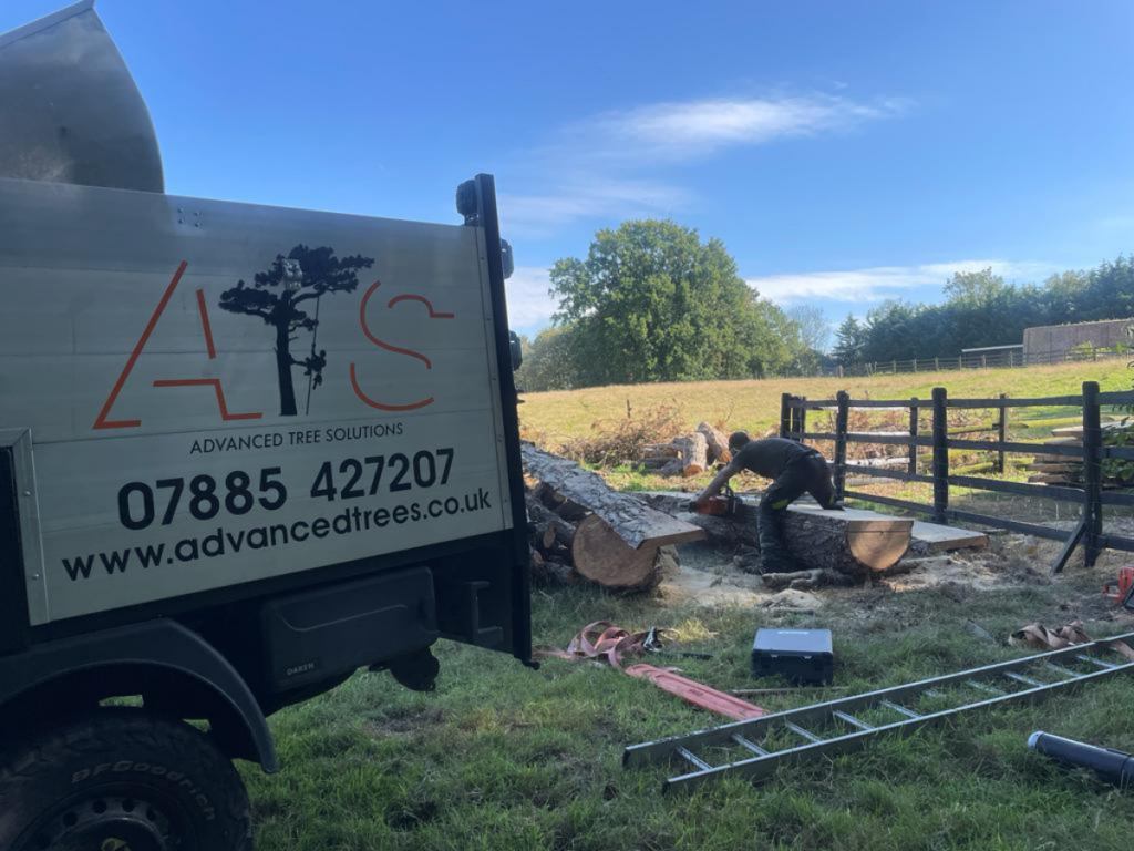 Etchingham tree services | Quality tree removal, hedge trimming, and logging services. Burwash tree felling & garden maintenance | Expert tree cutting, stump grinding, and seasoned log sales. Westfield hedge cutting & tree pollarding | Professional tree services, tree milling, and garden upkeep.