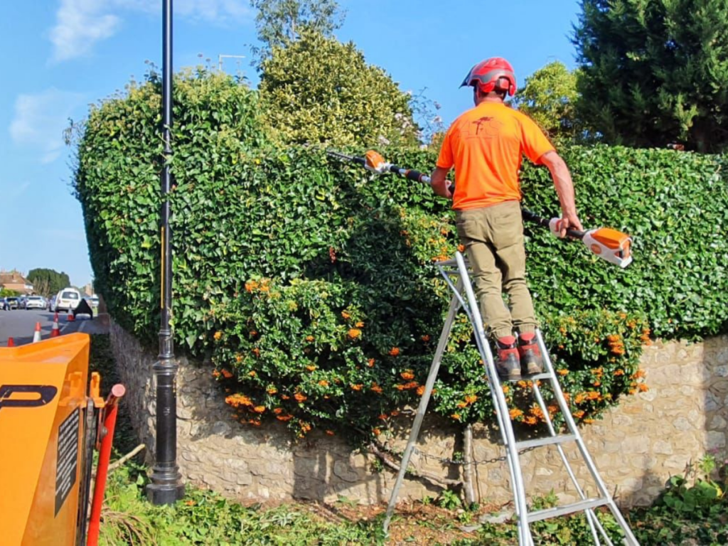For further information on the benefits of pruning hedges, please see the RHS website.